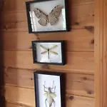 Authentic Hygge Year Round At Hafjell *